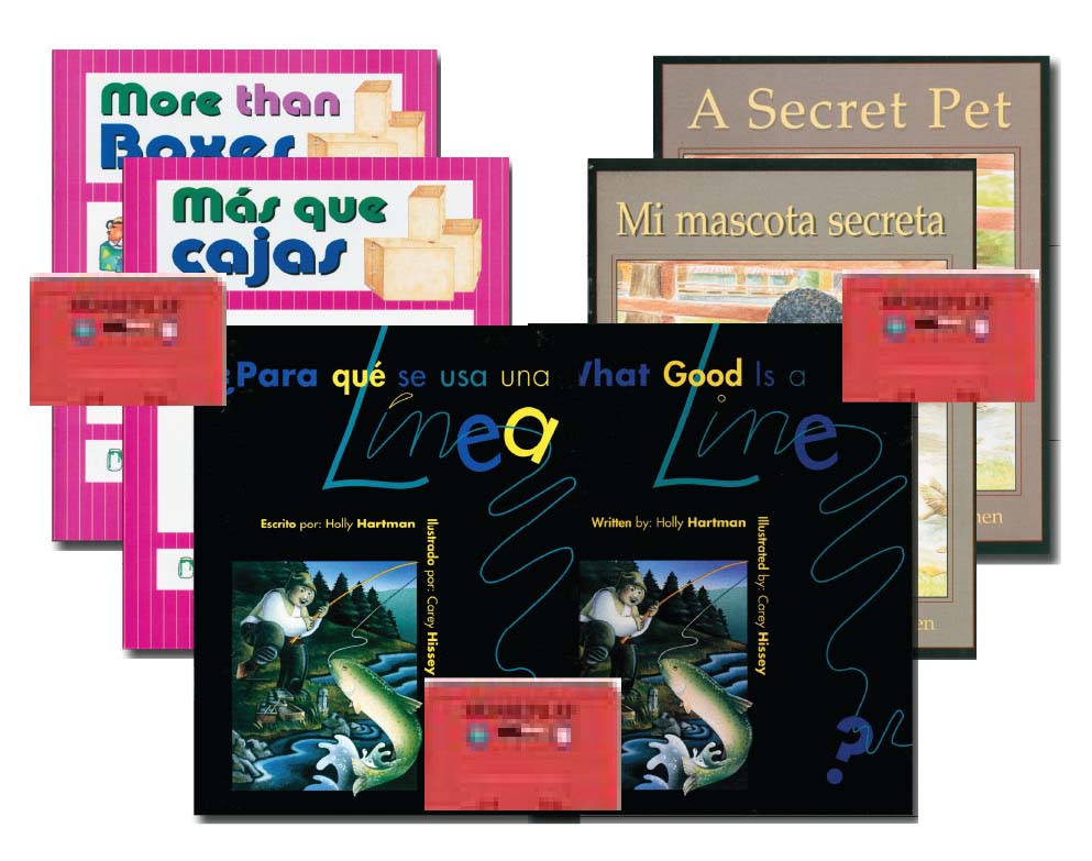 Homplay Set A books tapes